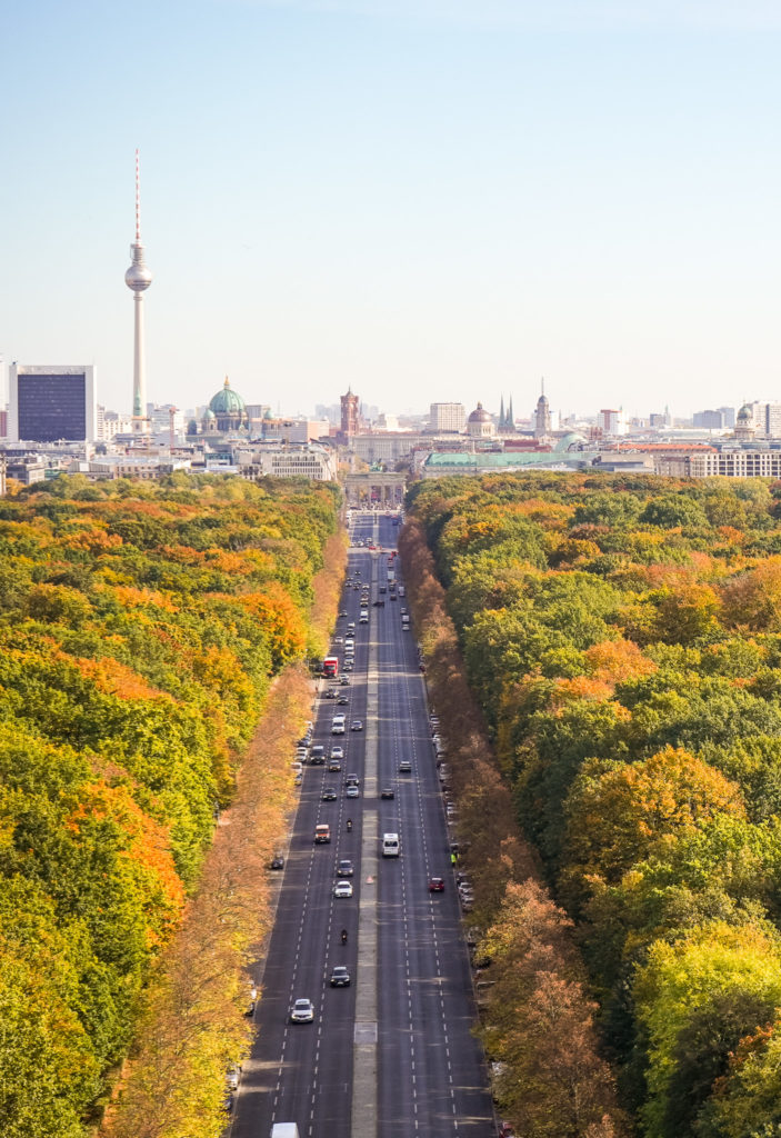 Towering Over The Trees In Tiergarten